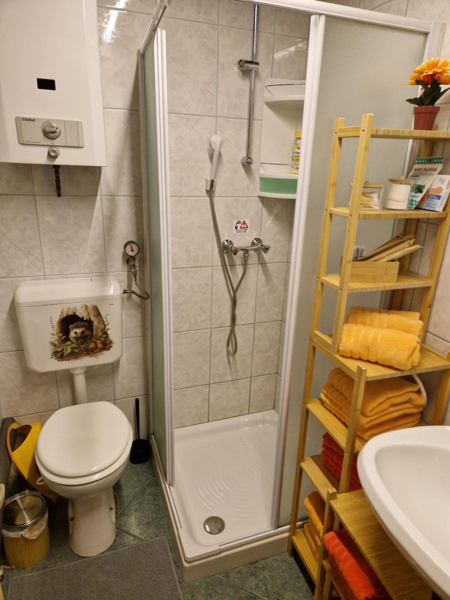 Koca V Gozdu Apartment เบลด ภายนอก รูปภาพ